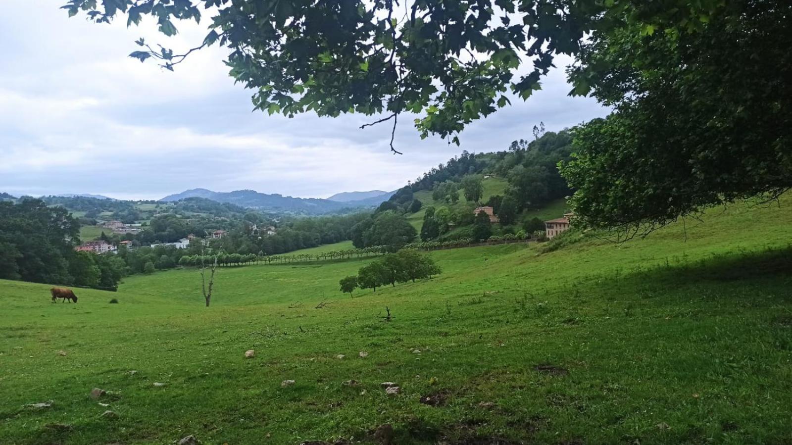 Casa Rural La Collada Sorribas  Kültér fotó